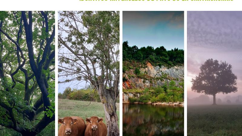 Exposition à la bibliothèque